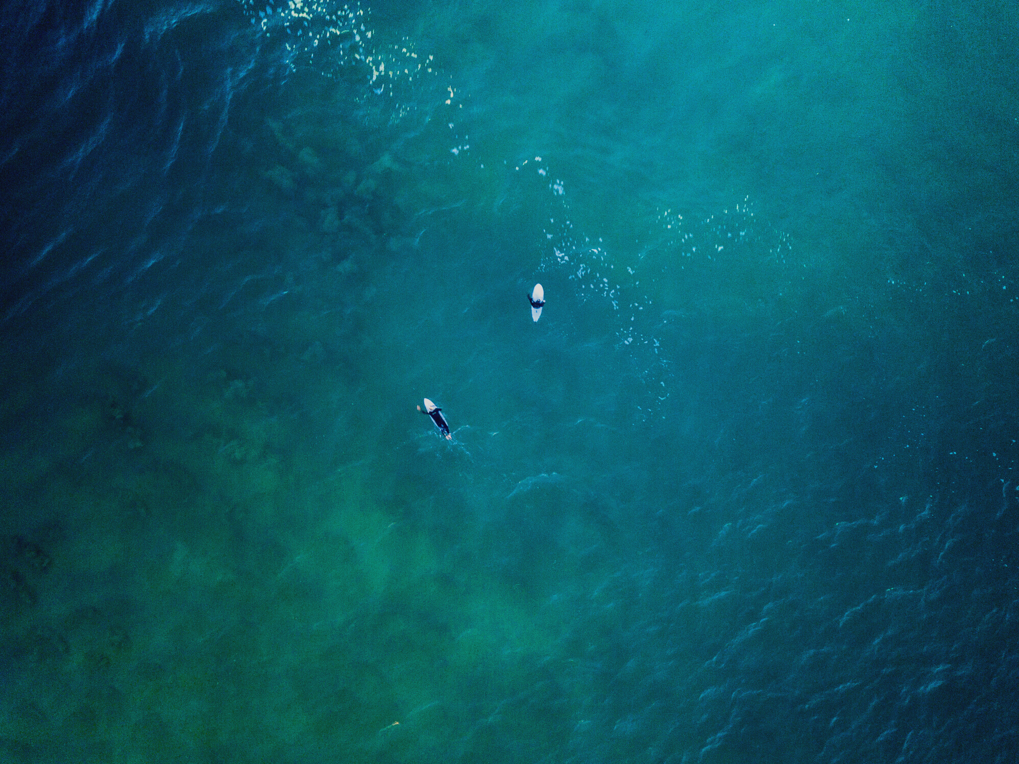 Two Surfers in the Middle of the Ocean